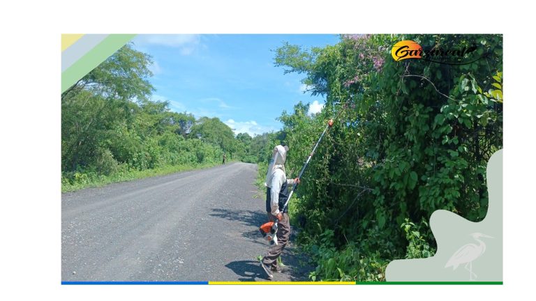 LIMPIEZA DE VARIOS EJES VIALES DENTRO DE NUESTRA PARROQUIA